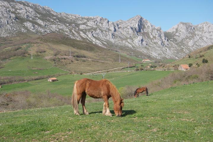 El Molino De Cicera Guest House Екстериор снимка
