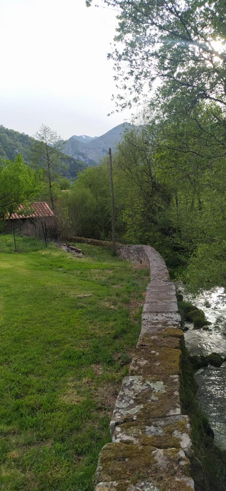 El Molino De Cicera Guest House Екстериор снимка